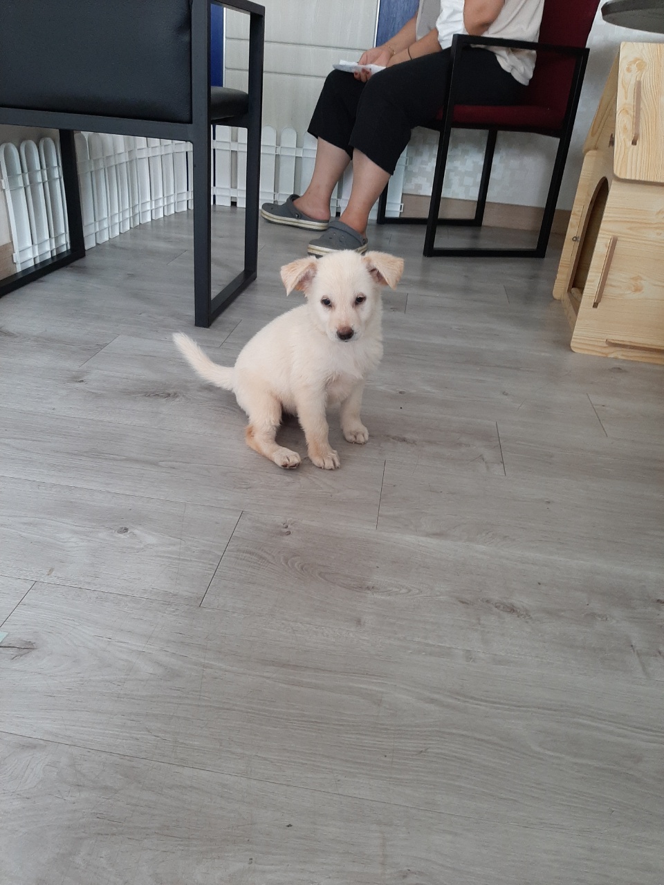마당
